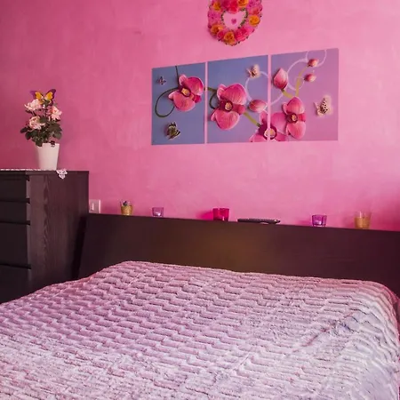 Casa Kichka *